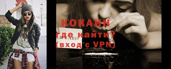 прущие грибы Семикаракорск