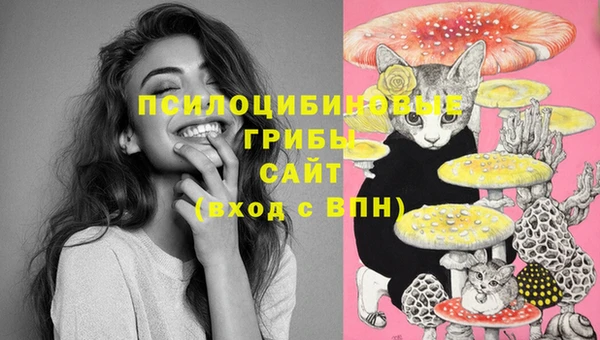 метадон Абаза