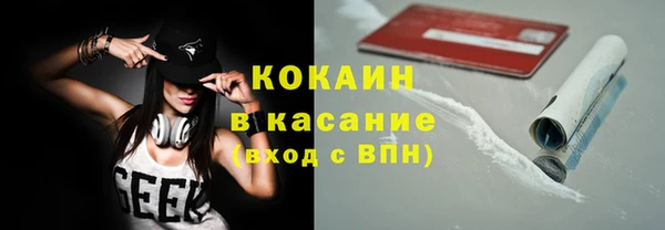 прущие грибы Семикаракорск