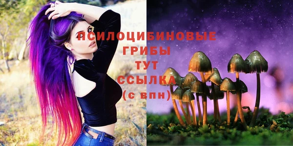 соль ск Абдулино