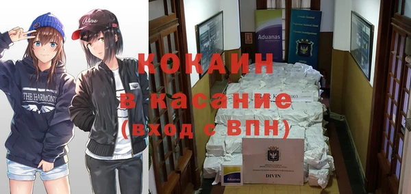индика Абинск