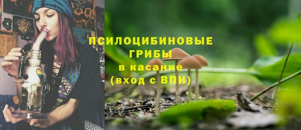 прущие грибы Семикаракорск