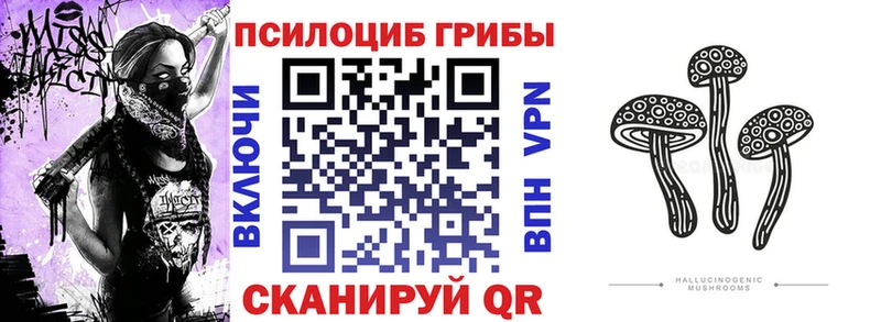 Псилоцибиновые грибы Cubensis  Каменка 