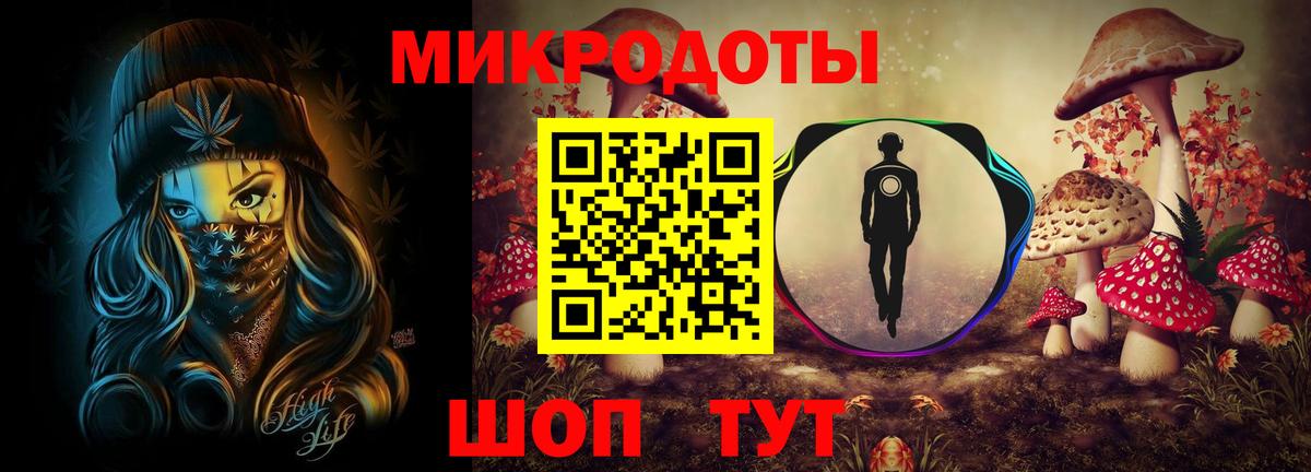 Псилоцибиновые грибы Cubensis Каменка