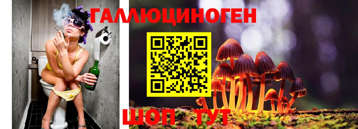 Каменка  Псилоцибиновые грибы MAGIC MUSHROOMS  Вход с VPN 